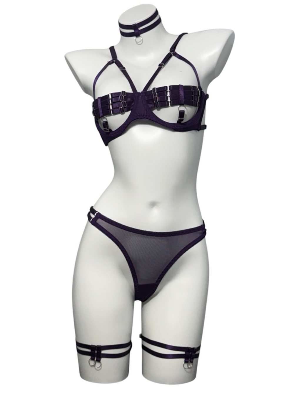 Purple Strappy Mesh Lingerie Set with Choker NWOT